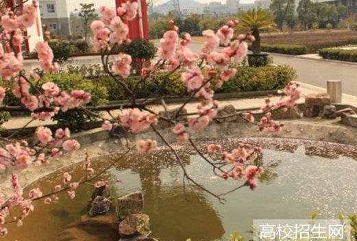 成都华夏旅游商务学校