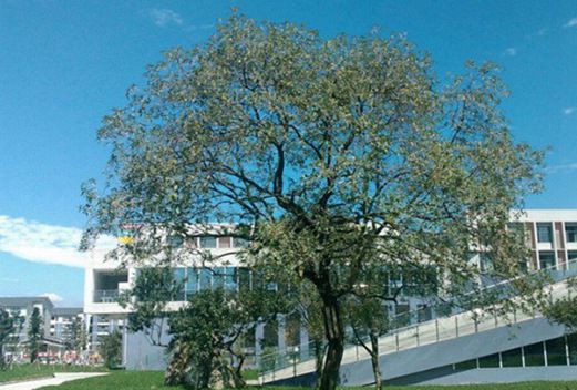 成都工业学院