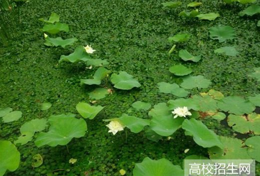 南充理工学校