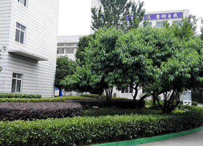 成都中山职业技术学校
