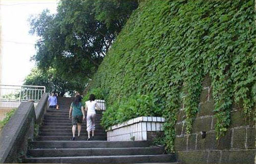 邛崃市技工学校