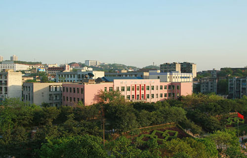 成都电子信息学校