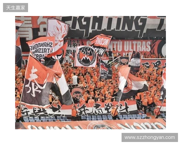 苗原谈泰山引援:账户里有200万水平购买力 但文旅决策尽量少花钱 苗原谈泰山引援:账户里有200万水平购买力 但文旅决策尽量少花钱